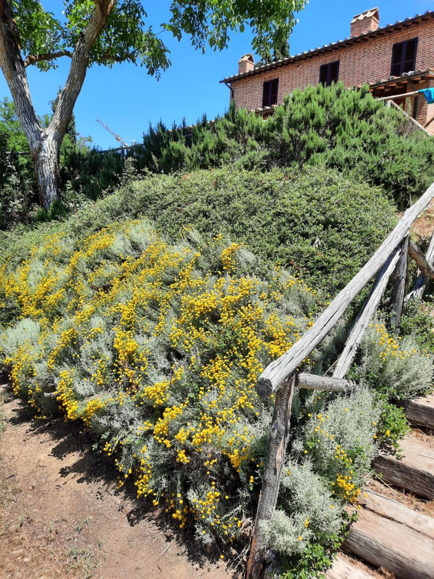 Agriturismo Podere Valdilucciole Città della Pieve エクステリア 写真