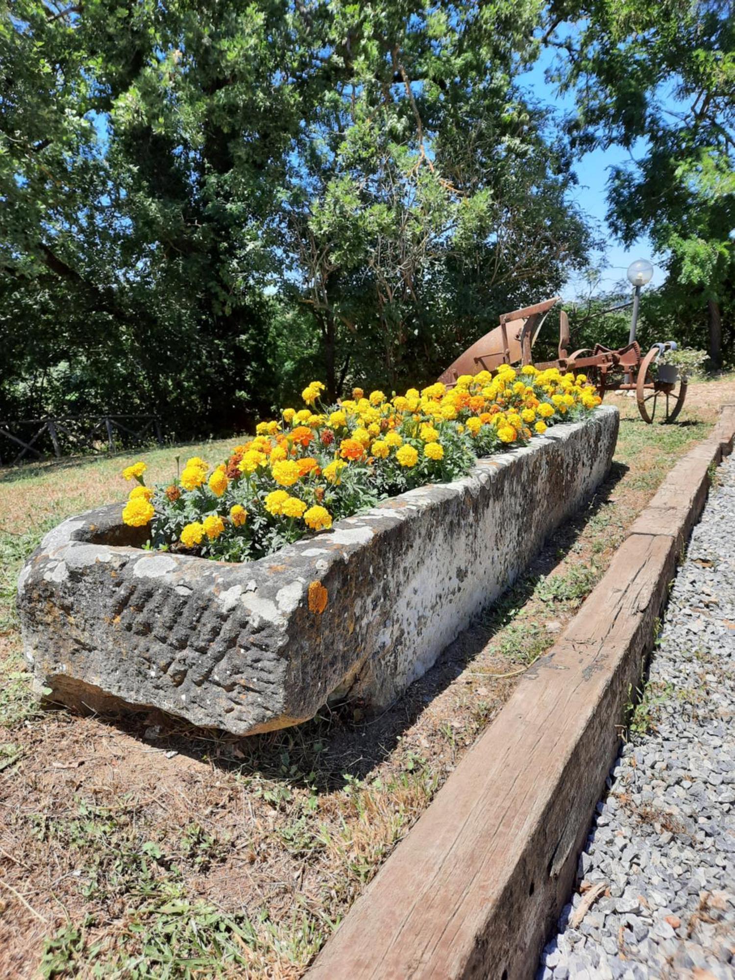 Agriturismo Podere Valdilucciole Città della Pieve エクステリア 写真